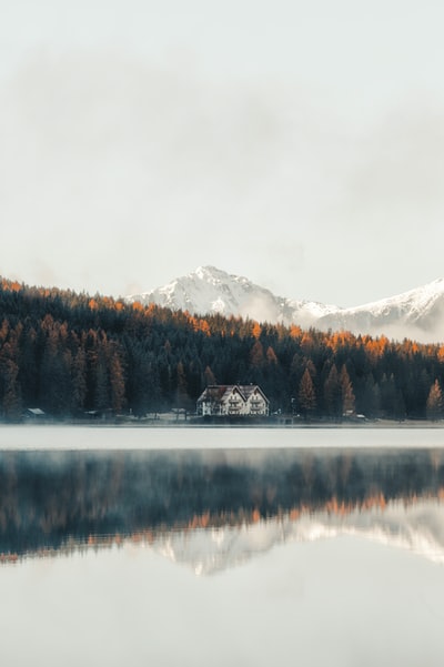 湖边的白色和棕色房子